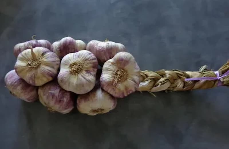 تصویر 2 از سیر اصفهان سفید تازه حبه‌ های بلند و خوش‌ فرم